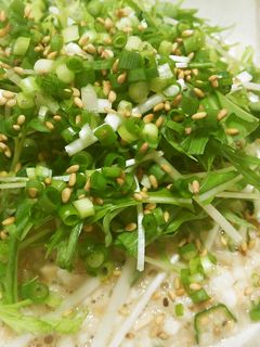 ネバネバ丼サラダ仕立て♪-レシピのメイン写真
