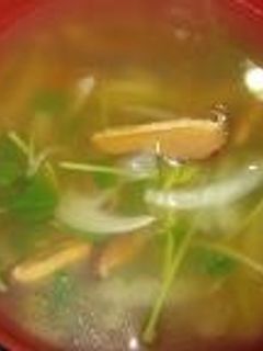 シイタケと豆苗スープ-レシピのメイン写真
