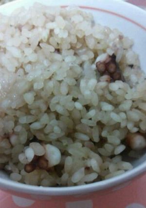ずぼらすぎるたこ飯-レシピのメイン写真