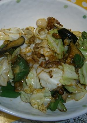 焼肉のたれでなす野菜炒め-レシピのメイン写真