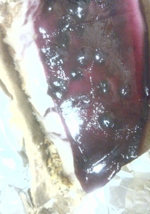 ブルーベリーレアチーズケーキ-レシピのメイン写真