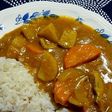 鮪カレー