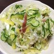 夏のさっぱりキャベツ&みょうが&シソ