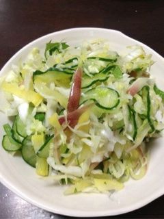 夏のさっぱりキャベツ&みょうが&シソ-レシピのメイン写真