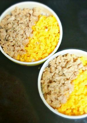 そぼろ2色丼-レシピのメイン写真