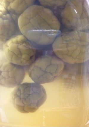 青梅サワー-レシピのメイン写真