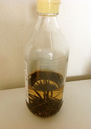 常備調味料 昆布酢-レシピのメイン写真