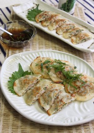 おつまみ餃子・青じそ風味-レシピのメイン写真