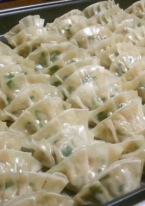 風邪対策に！にんにくたっぷり餃子♪-レシピのメイン写真