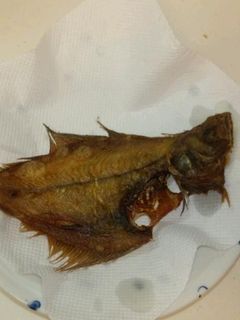 簡単!!カレイの唐揚げ♪-レシピのメイン写真