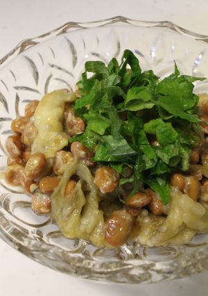 夏の簡単おかず！焼きナス納豆-レシピのメイン写真