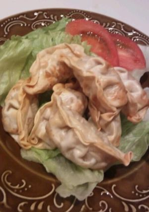 ノンオイルフライヤーで揚げ餃子♪-レシピのメイン写真