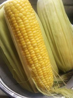 水から茹でるトウモロコシ-レシピのメイン写真