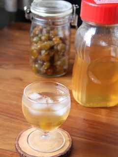 梅ジュースと梅ジャム プラムハニップ | お銀ちゃんの大日本漫遊記( v^-゜)♪