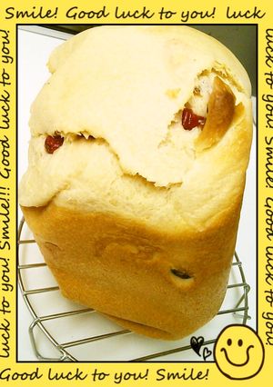 HB 冷やして美味しい濃厚ミルク食パン-レシピのメイン写真