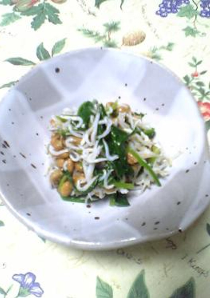 納豆のあえ物♪-レシピのメイン写真