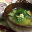 小松菜と卵の味噌汁
