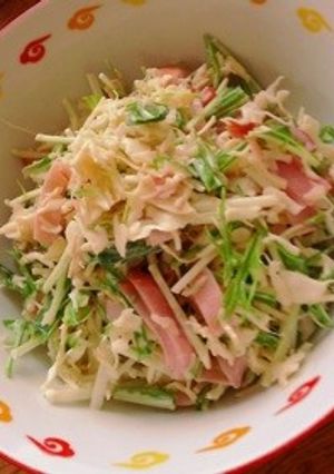 水菜とキャベツのコールスロー-レシピのメイン写真