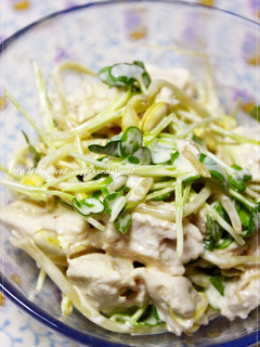 チキンとカイワレのサラダ-レシピのメイン写真