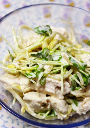 チキンとカイワレのサラダ-レシピのメイン写真