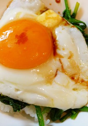 簡単に♬目玉焼き丼-レシピのメイン写真