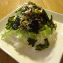 รูปของ なまり節の具材たっぷりのっけご飯♪