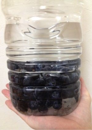 ブルーベリー酒-レシピのメイン写真