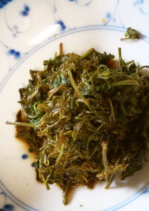 にんじんと蕪の葉の佃煮-レシピのメイン写真