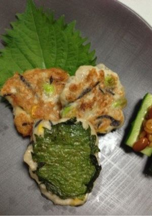 ヘルシー♪豆腐とひじきのすり身焼き-レシピのメイン写真