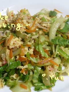 ソース色にならない野菜炒め!-レシピのメイン写真