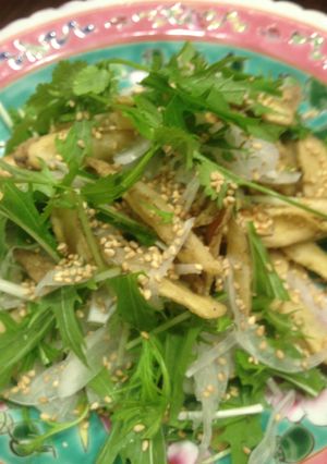 揚げごぼうと水菜のアジアンサラダ-レシピのメイン写真
