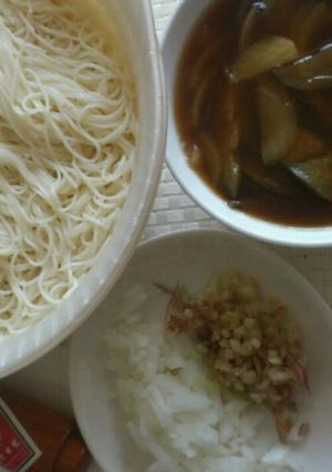 茄子とねぎのつけ素麺♪-レシピのメイン写真