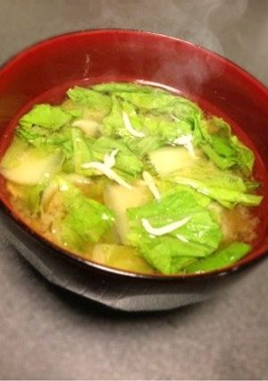 岩手の味♡山東菜としらすの味噌汁♪-レシピのメイン写真