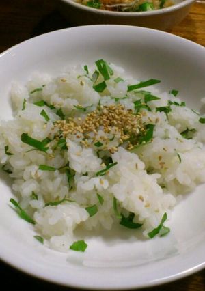 しそご飯-レシピのメイン写真