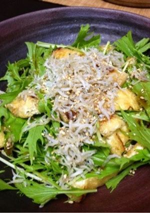 水菜がバリバリ食べれるサラダ-レシピのメイン写真