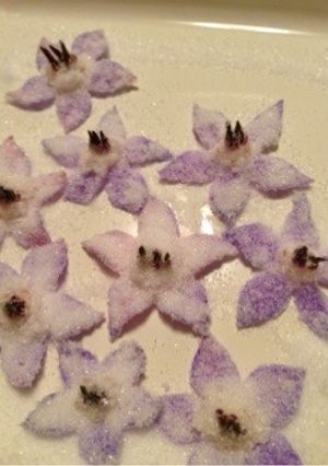 お庭のボリジでオシャレ〜な砂糖漬け-レシピのメイン写真
