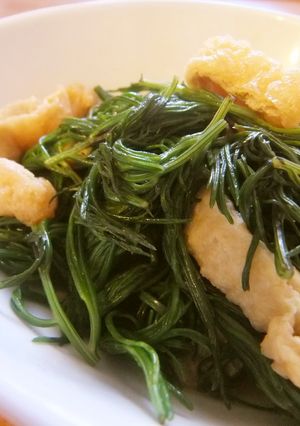 ◇◆おかひじきの炒め物◆◇-レシピのメイン写真