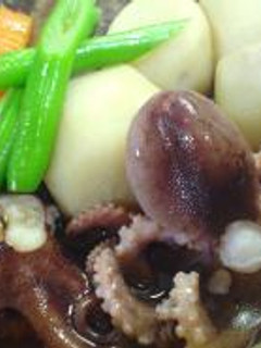 ☆イイダコと野菜のさっぱり煮物☆-レシピのメイン写真