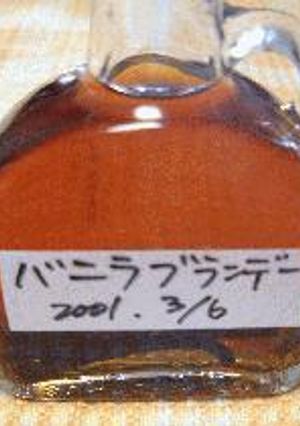 絶対役立つ！果実酒③バニラ酒-レシピのメイン写真
