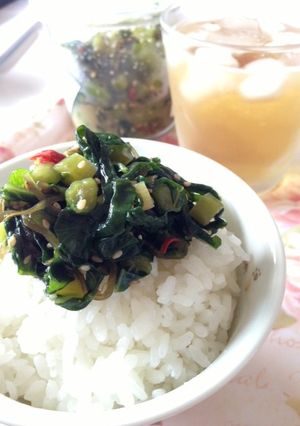 野沢菜わさび漬-レシピのメイン写真