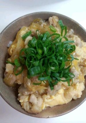 簡単☆塩糀で大人の親子丼-レシピのメイン写真