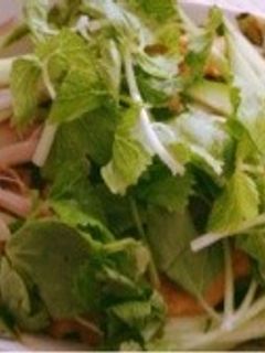エスニックごはん-レシピのメイン写真