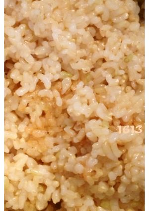 圧力鍋で発芽玄米-レシピのメイン写真