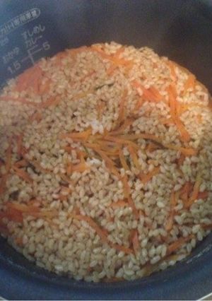 玄米を炊飯器で簡単に炊く。-レシピのメイン写真