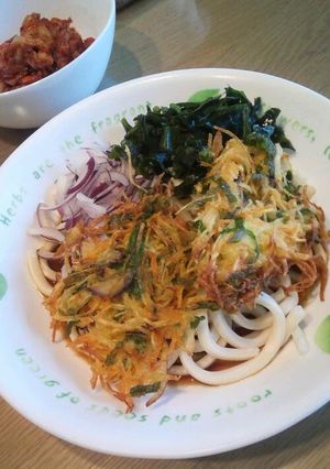 ズボラ冷やしうどん☆カリカリかき揚げ乗せ-レシピのメイン写真