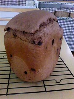 チョコチップココア食パン(早焼き)-レシピのメイン写真