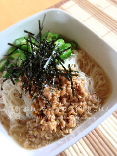 夏をのりきれ!冷やしネバネバそうめん-レシピのメイン写真