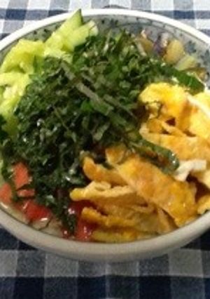 糖質ダイエット中の豆乳冷やしうどん-レシピのメイン写真