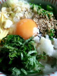 さっぱり薬味うどん-レシピのメイン写真