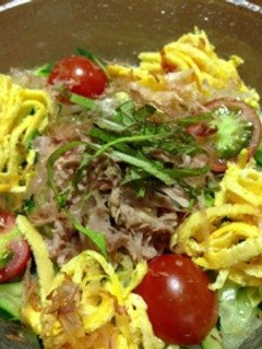 夏野菜✩サラダうどん♪♪-レシピのメイン写真